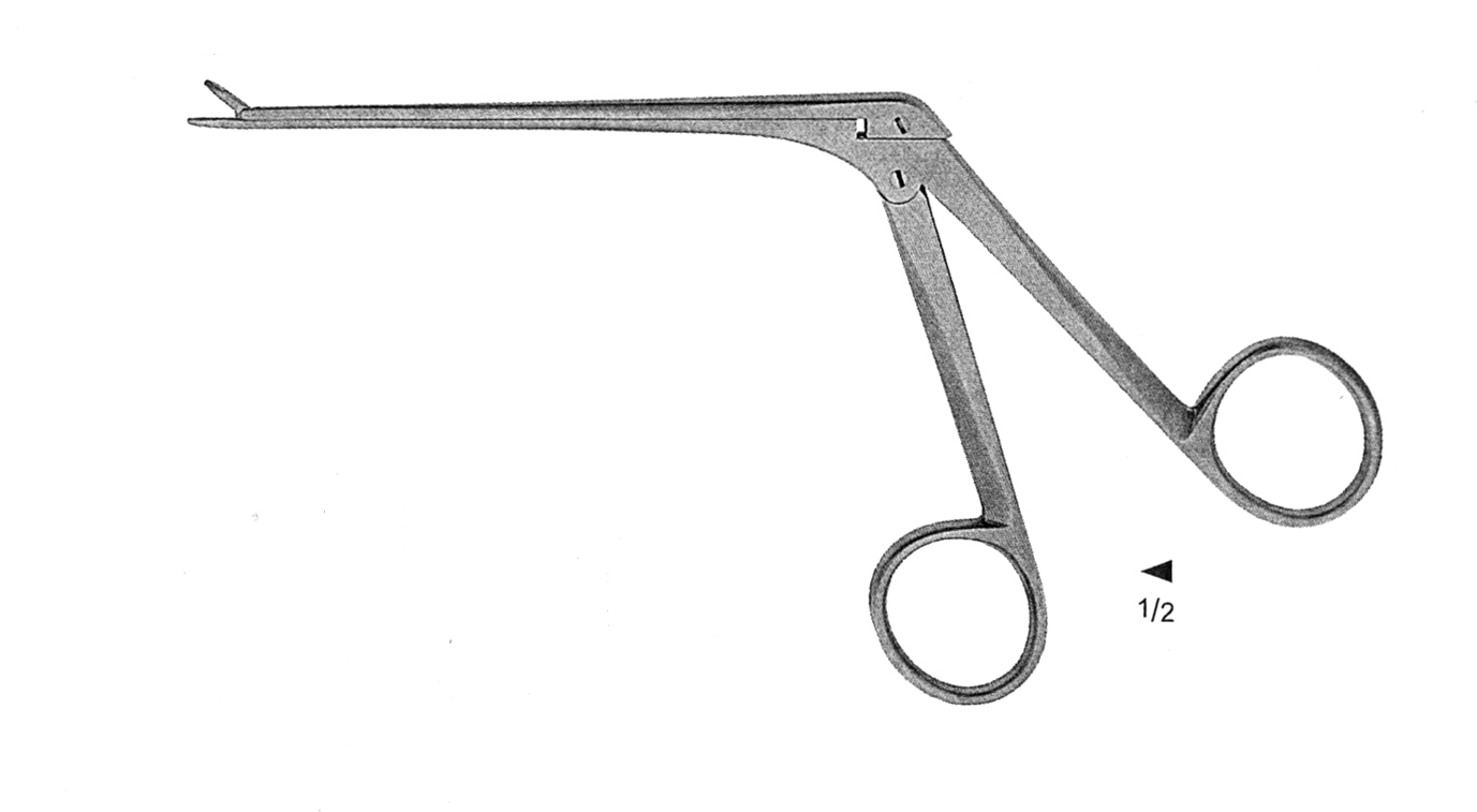 WEIL BLAKESLEY RONJUR 3.6 MM 1